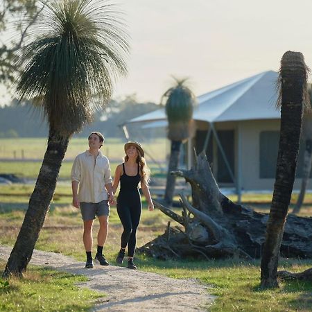 Willow Wood Glamping Retreat Broadwater エクステリア 写真