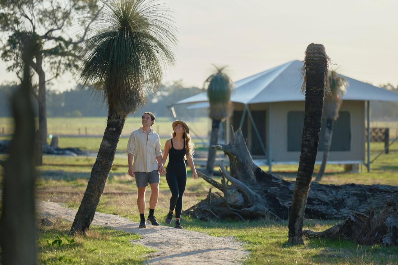 Willow Wood Glamping Retreat Broadwater エクステリア 写真